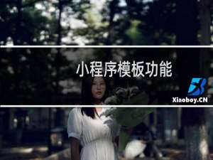 小程序模板功能