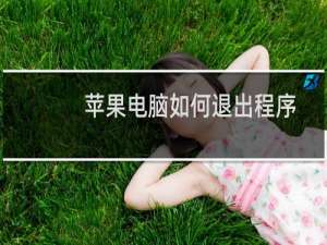 苹果电脑如何退出程序