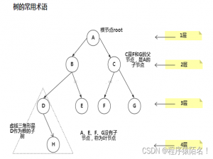 Java数据结构-树详解(两万字)