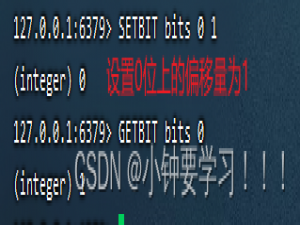 Redis核心配置和高级数据类型