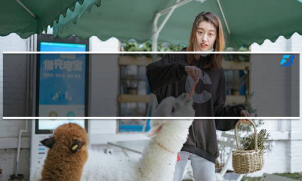 ()是我的一张名片600