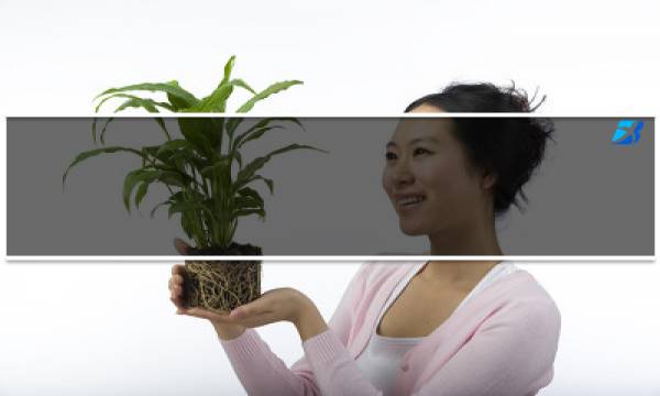 ?????什么梗