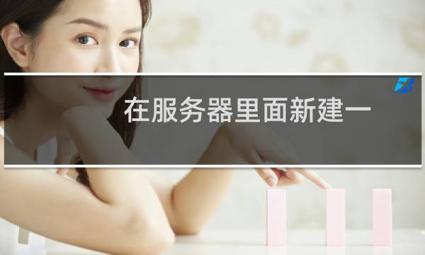 ?在服务器里面新建一个ftp,用的是ftpsever.exe