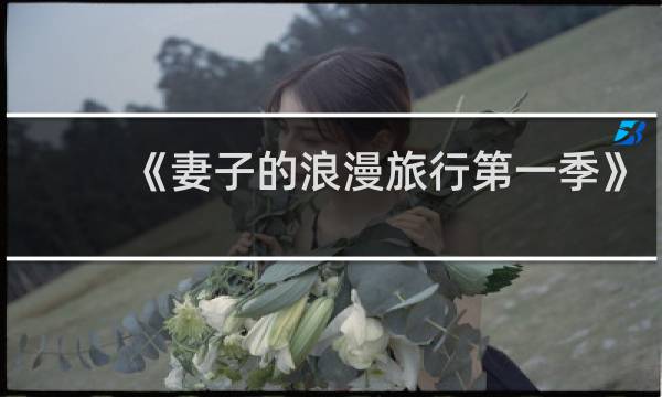 《妻子的浪漫旅行第一季》
