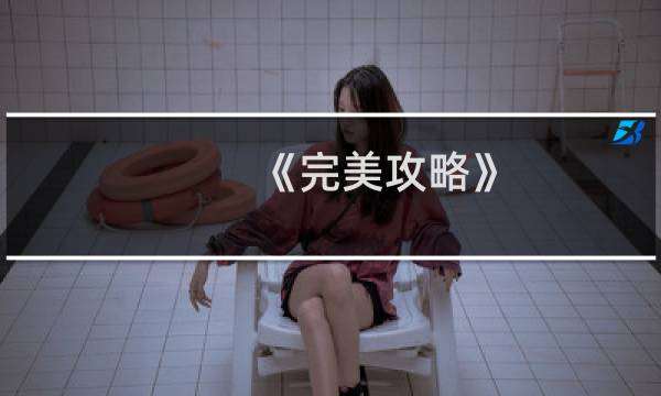 《完美攻略》