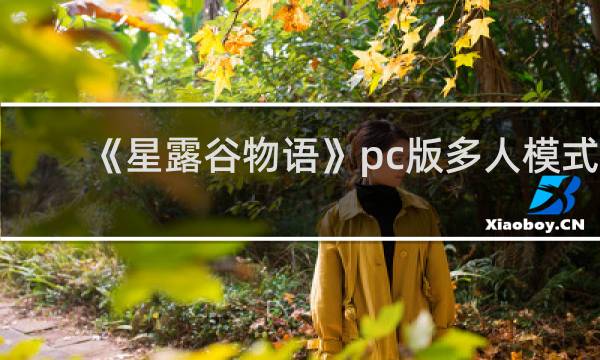 《星露谷物语》pc版多人模式