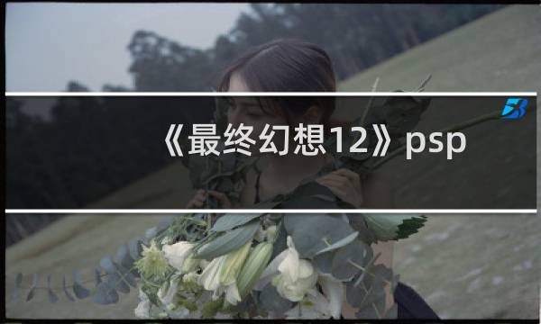 《最终幻想12》psp