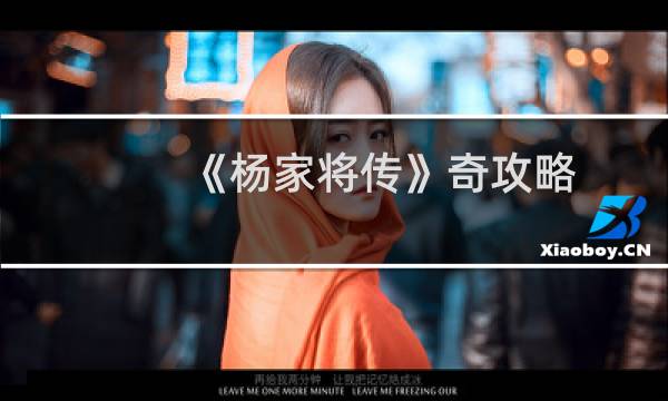 《杨家将传》奇攻略