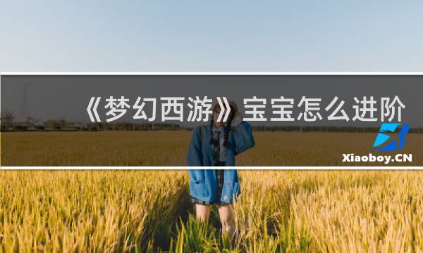 《梦幻西游》宝宝怎么进阶