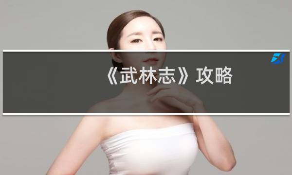 《武林志》攻略