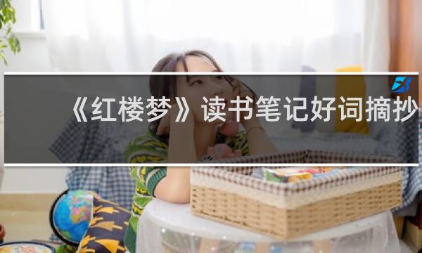 《红楼梦》读书笔记好词摘抄