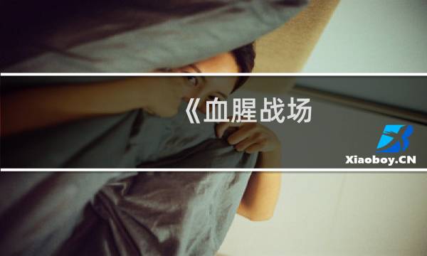 《血腥战场--最终幻想》