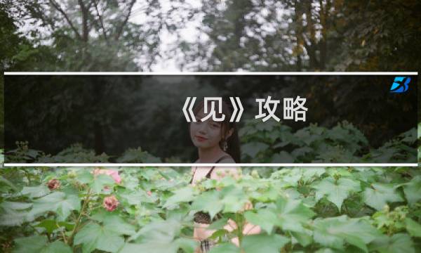 《见》攻略