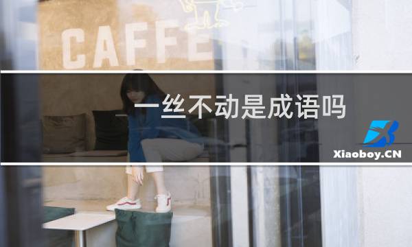 一丝不动是成语吗