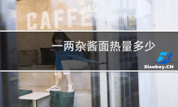 一两杂酱面热量多少