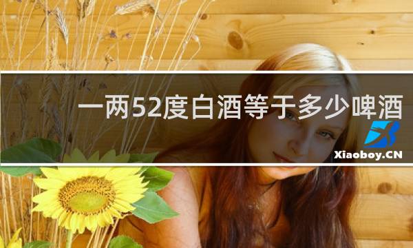 一两52度白酒等于多少啤酒