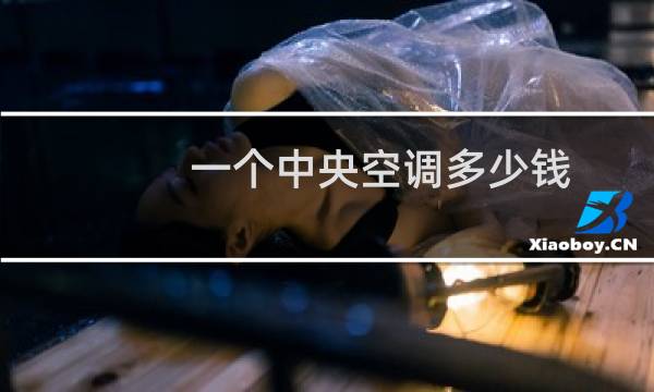一个中央空调多少钱