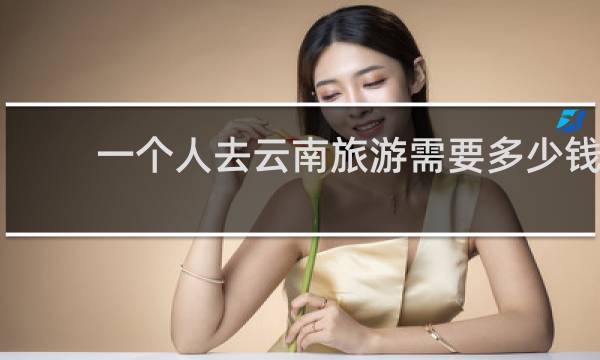 一个人去云南旅游需要多少钱