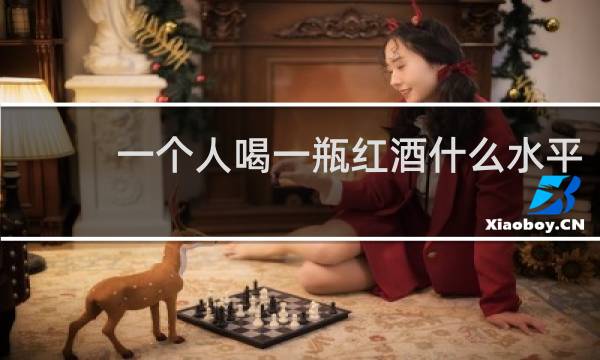 一个人喝一瓶红酒什么水平