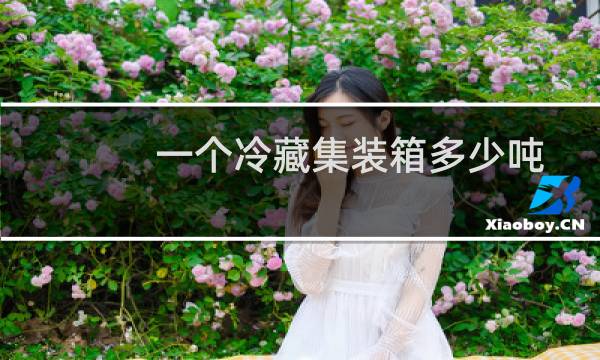 一个冷藏集装箱多少吨