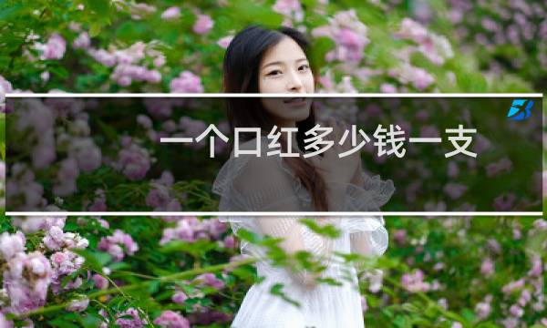 一个口红多少钱一支