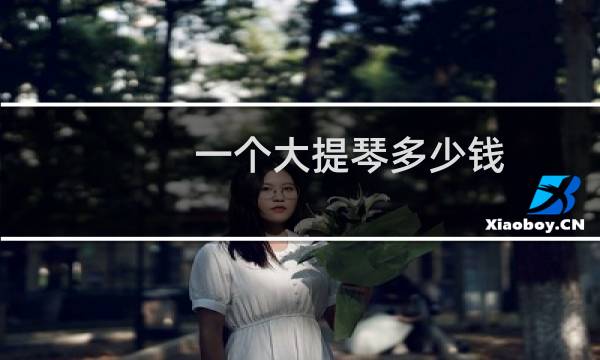 一个大提琴多少钱