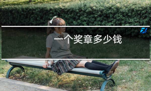 一个奖章多少钱