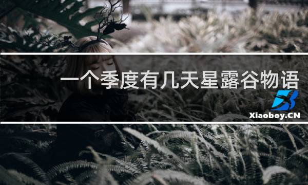 一个季度有几天星露谷物语