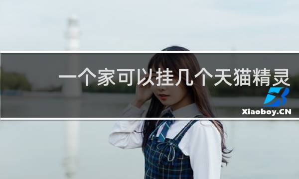 一个家可以挂几个天猫精灵