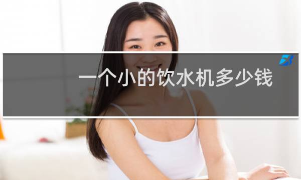 一个小的饮水机多少钱