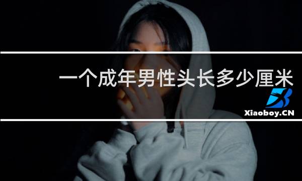 一个成年男性头长多少厘米