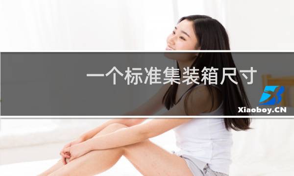 一个标准集装箱尺寸