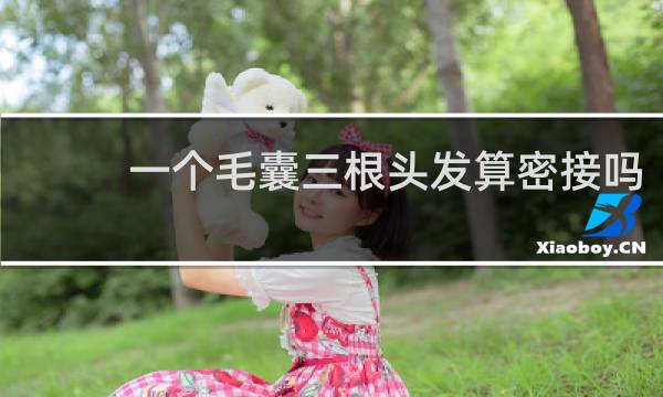 一个毛囊三根头发算密接吗