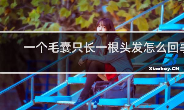 一个毛囊只长一根头发怎么回事