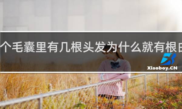 一个毛囊里有几根头发为什么就有根白头发呢