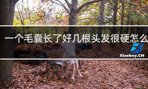 一个毛囊长了好几根头发很硬怎么回事