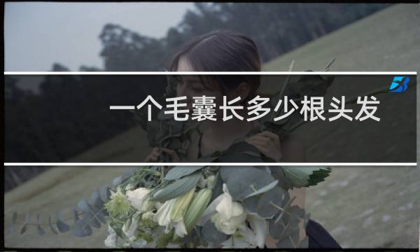 一个毛囊长多少根头发