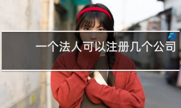 一个法人可以注册几个公司