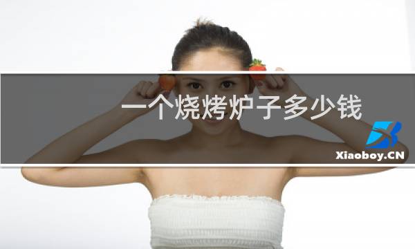 一个烧烤炉子多少钱