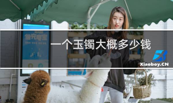 一个玉镯大概多少钱