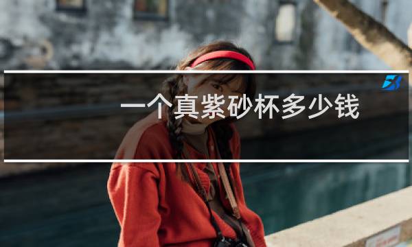 一个真紫砂杯多少钱