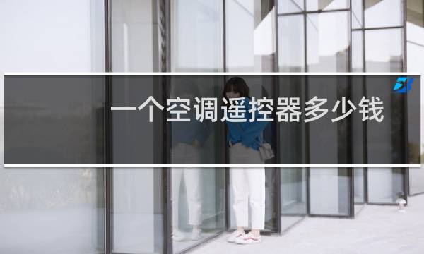 一个空调遥控器多少钱