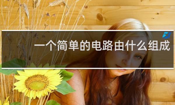 一个简单的电路由什么组成