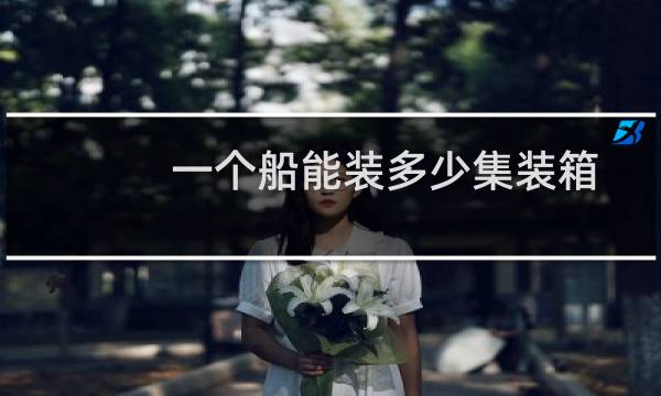 一个船能装多少集装箱