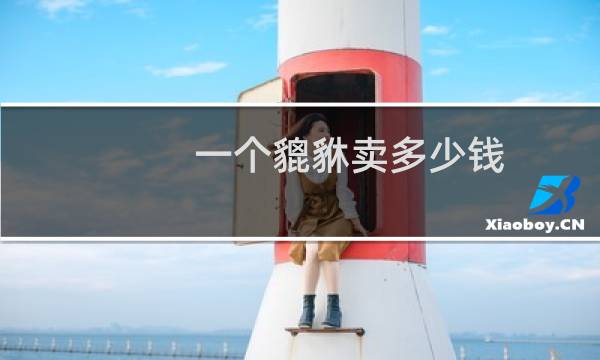 一个貔貅卖多少钱