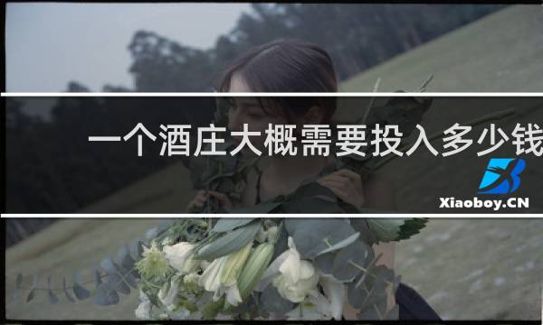 一个酒庄大概需要投入多少钱