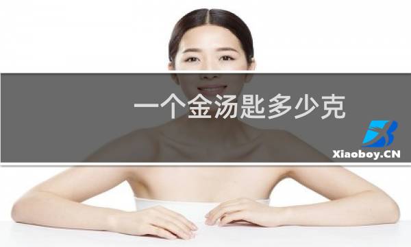 一个金汤匙多少克