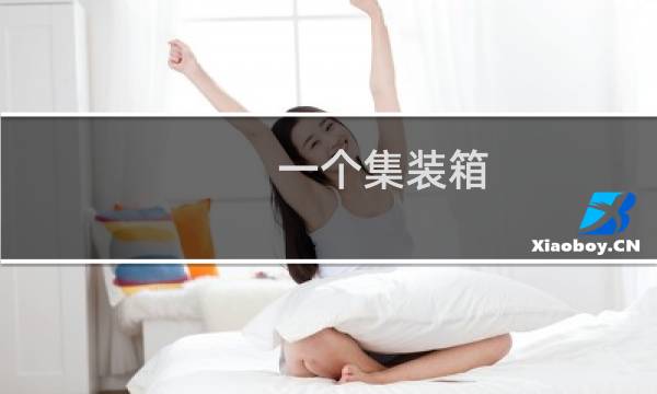 一个集装箱 它的内尺寸