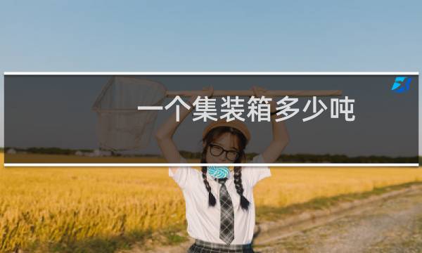 一个集装箱多少吨