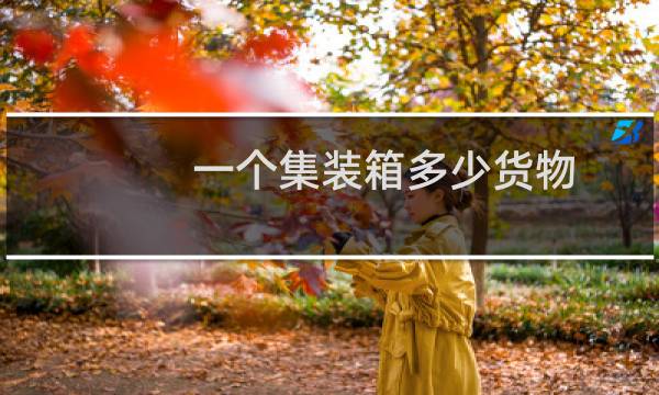 一个集装箱多少货物